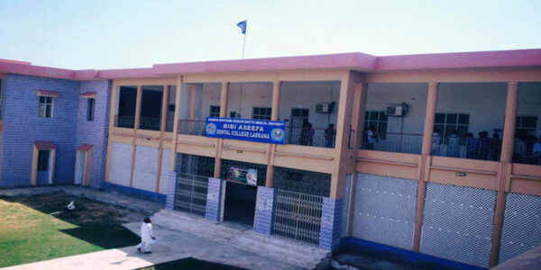 Bibi Aseefa Dental College