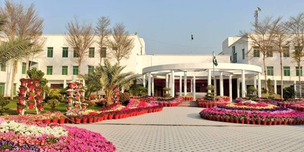 Gambat Medical College